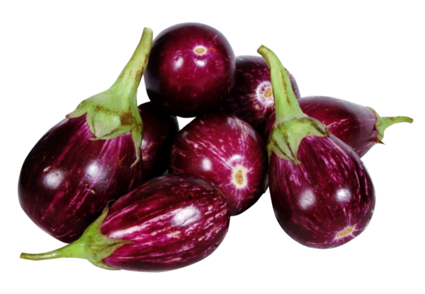 Brinjal