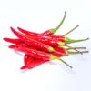 Red Chilli
