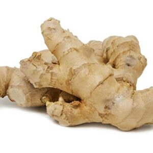 Ginger