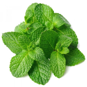 Mint Leaves- Cleaned, without roots