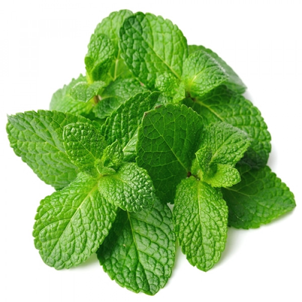 Mint Leaves