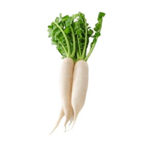 Raddish