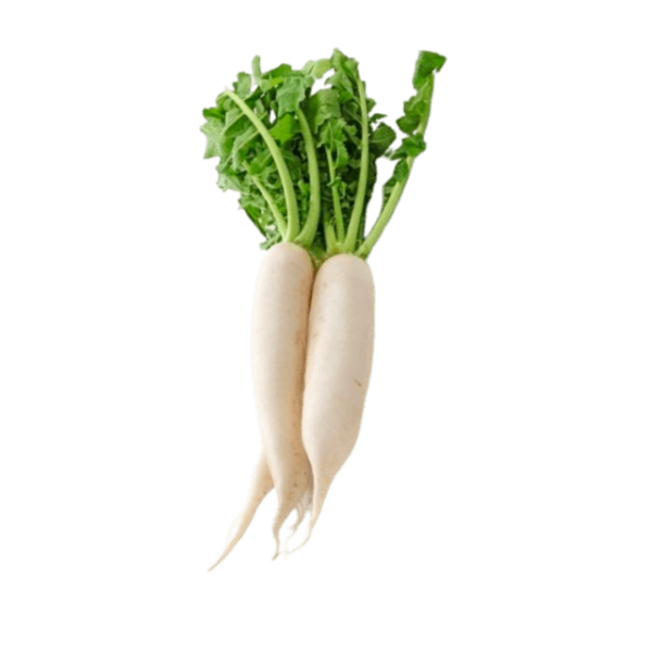 Raddish